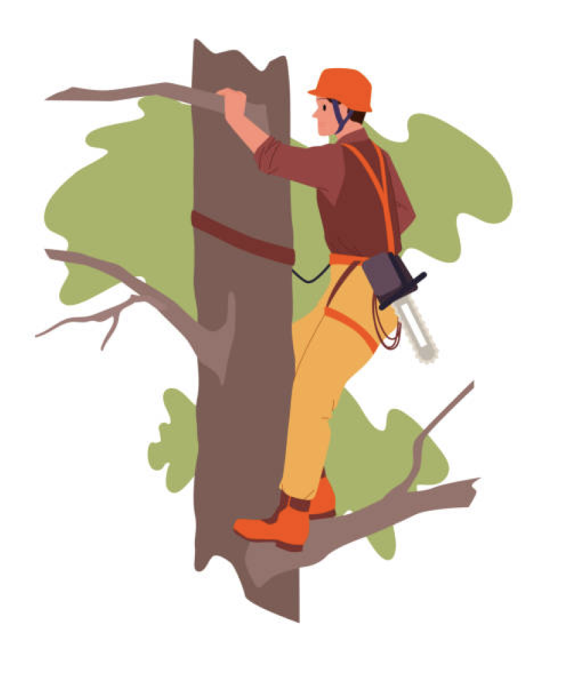 Admin login illustration